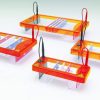 Horizontal Gel electrophoresis system (2)